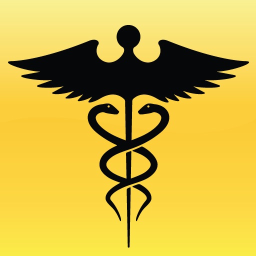 ICEMA Paramedic icon