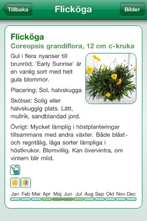 Blomsterlexikon(圖4)-速報App