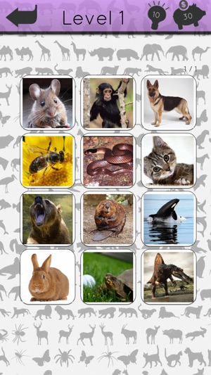 Animals Icon Quiz(圖1)-速報App