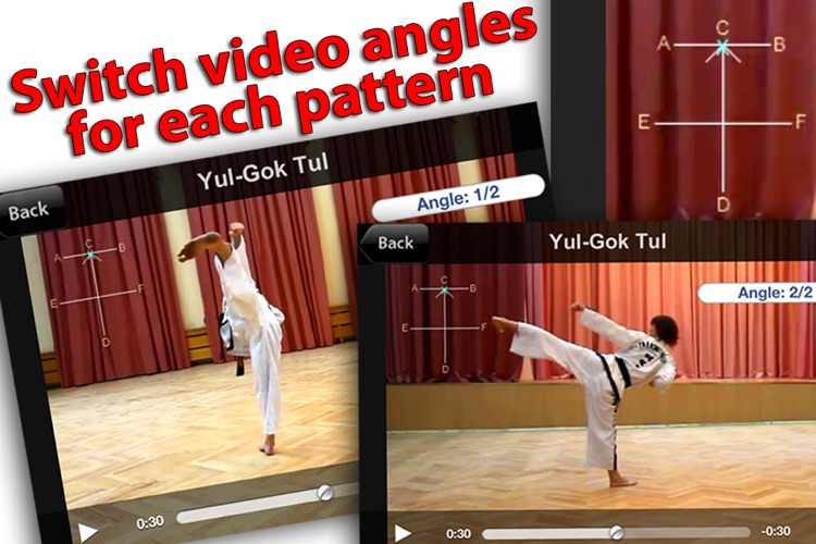 Taekwon-Do