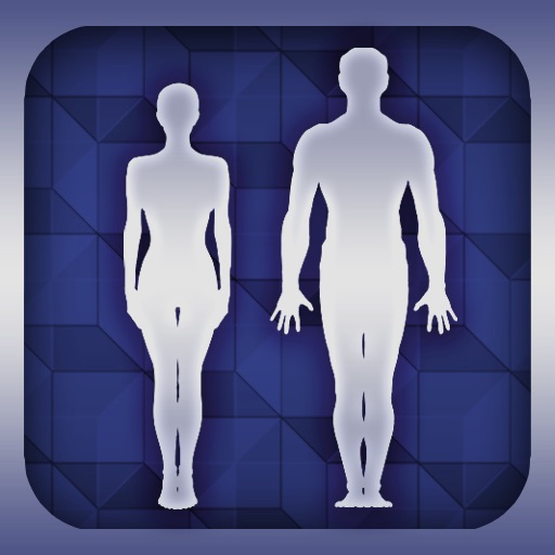 Human Muscles Terminology icon