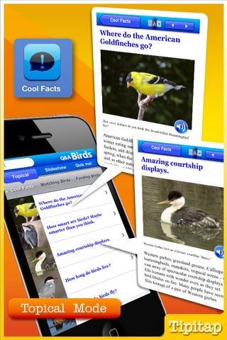 CornellLab Bird Q&A: Your birding questions answered screenshot 3