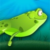 Flappy Toad