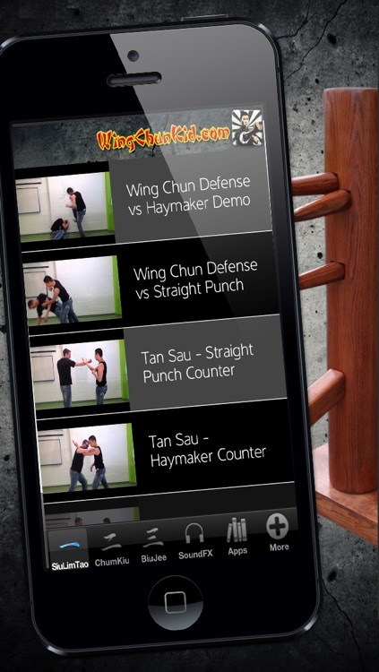 Wing Chun Complete - Martial Arts for Self Defense