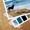 Moodboard is the perfect app for creating mood and inspiration boards on your iPad