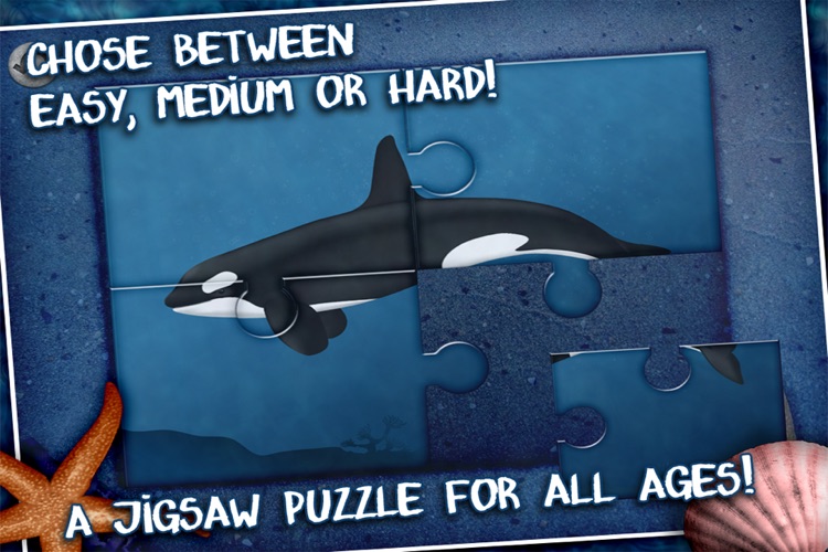 Jigsaw Puzzle with Whales and Sharks screenshot-4