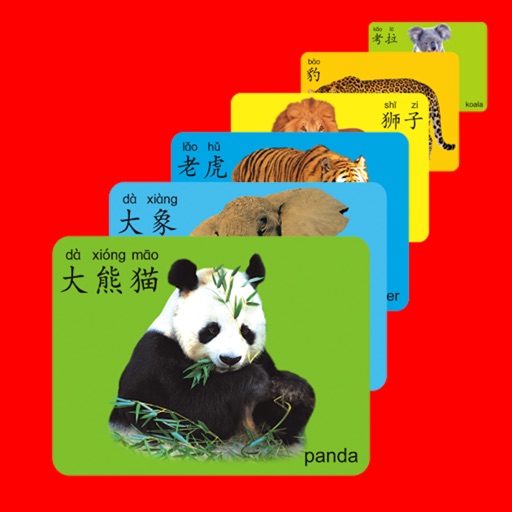 Living Chinese Flash Cards