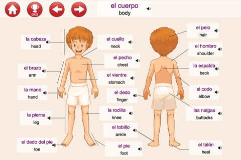 Learn Spanish: Listen, Speak and Play (Discovery) screenshot 2