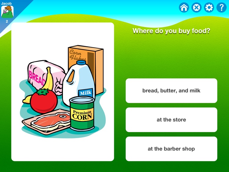 WH Question Cards - Pro: Who, What, When, Where, Why