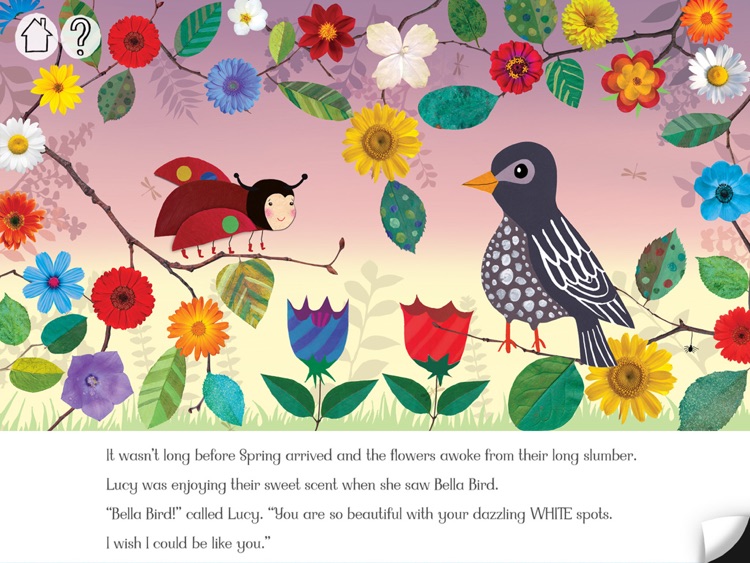 Lucy Ladybird
