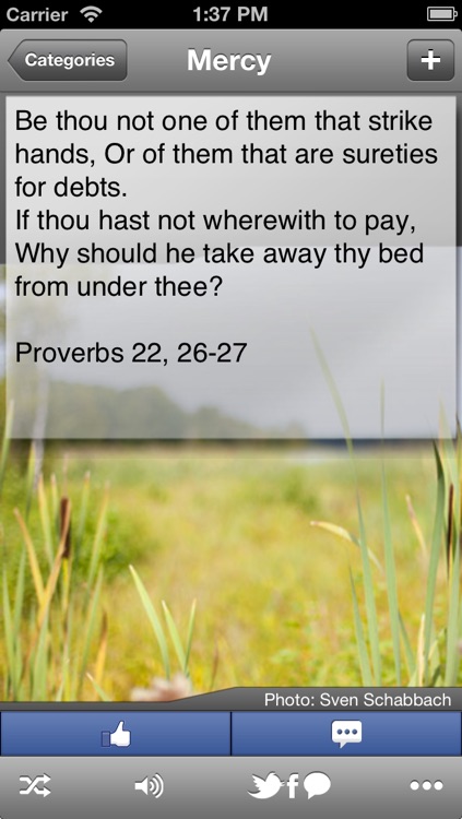 Bible Quotes: My Lord - Inspirational Verses from the Bible for Everyday Life screenshot-3