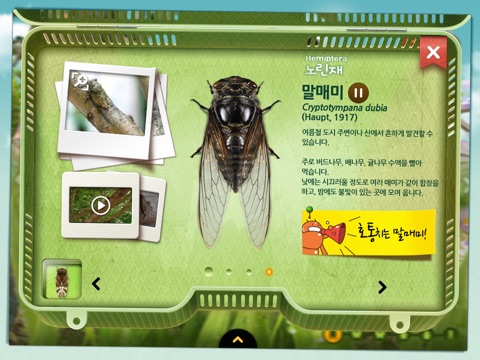 우리동네 곤충친구 screenshot 3