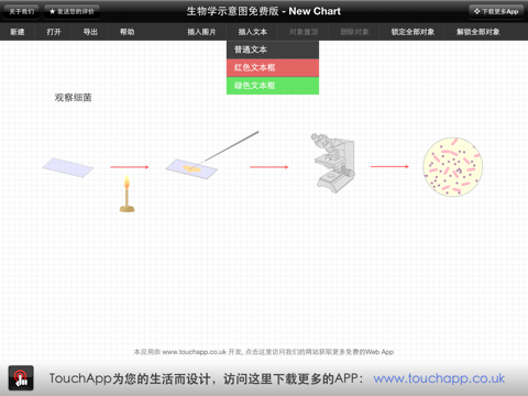 Bio Flowchart Lite screenshot 4