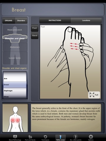 Reflexology PRO for iPad screenshot 2