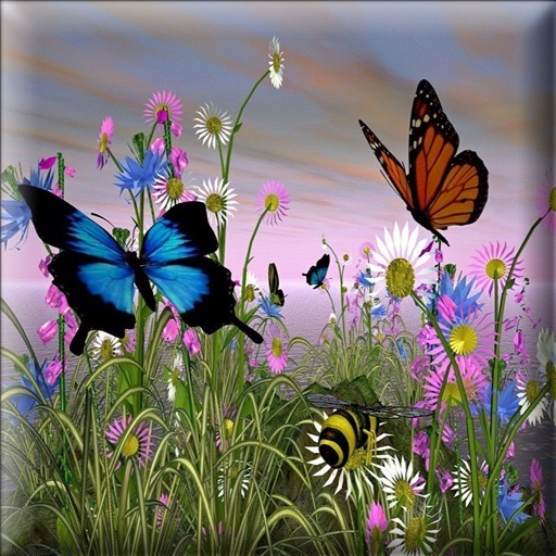 ButterflyWallpapers icon