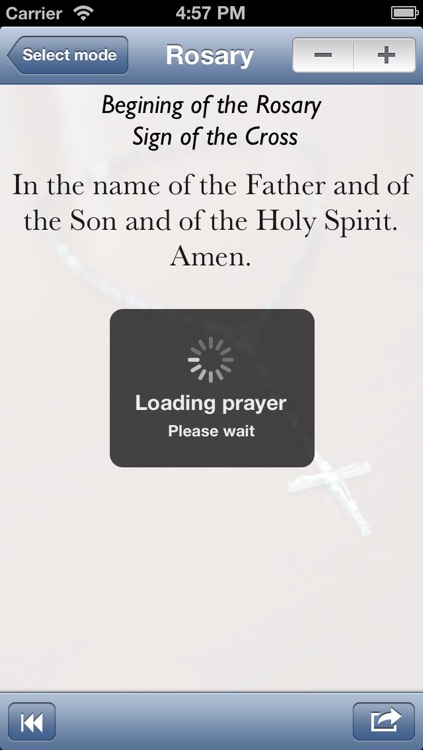 Rosary Pro