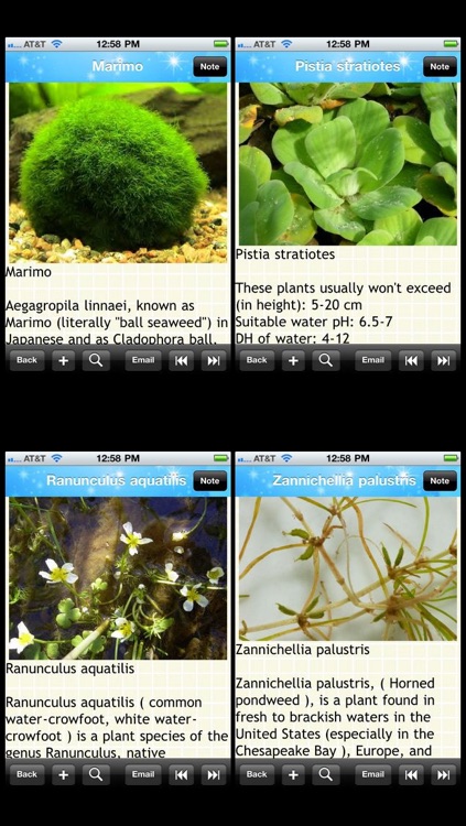 Aquarium Plants Encyclopedia