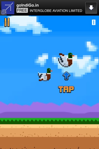 Splashy Duck Flying Happy Adventure Free screenshot 3