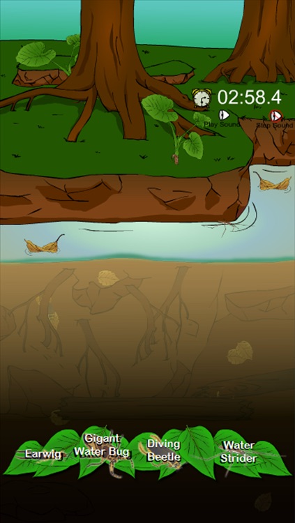 Find The Hidden Insects screenshot-4