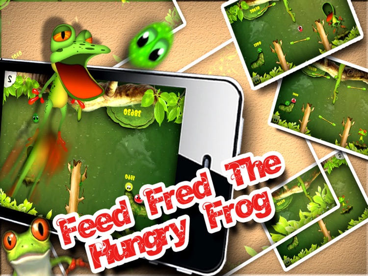 Hungry Froggie HD