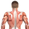 Back & Shoulders: Muscle Building with Craig Ramsay