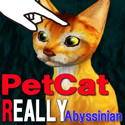 AbyssinianCat Petting cat 3D REAL