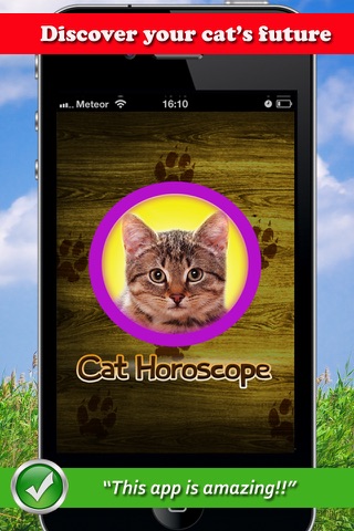 Cat horoscope booth: FREE astrology readings for your pet screenshot 2