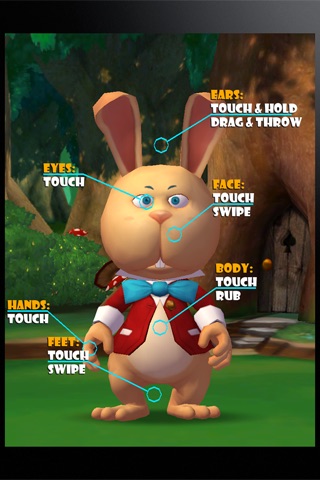 iPet James the Rabbit screenshot-4