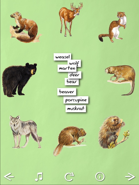 Animal Name Game