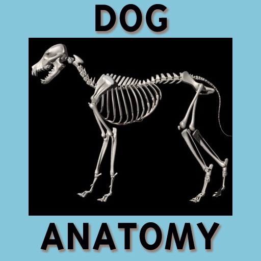 Bryan Edwards Dog Anatomy Flash Cards icon