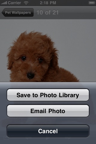 Pet Wallpaper screenshot-3