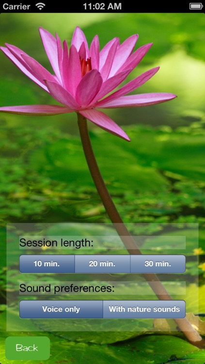 Yoga Nidra - Deep Relaxation Practice