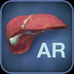 AR Liver Viewer