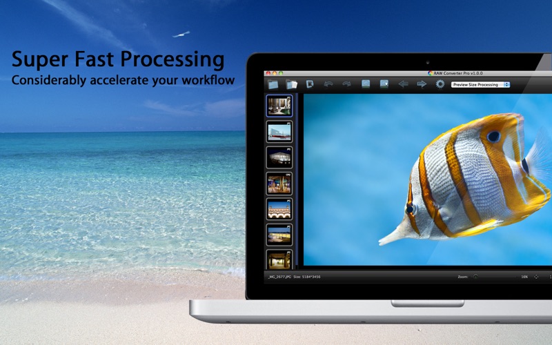 Raw Converter Pro thumbnail 4