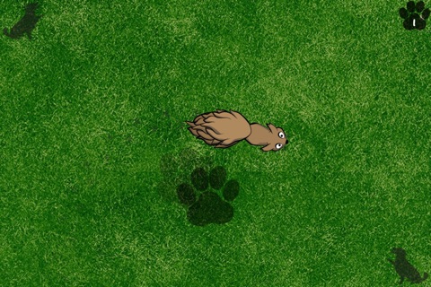 Game for Dogs screenshot 2