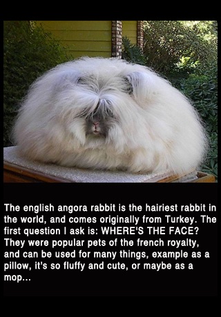 Freakish Animals that you never knew existed (Lite) screenshot 3