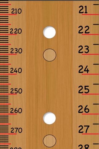 Free Pocket Ruler screenshot 4