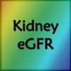 Kidney eGFR Estimator