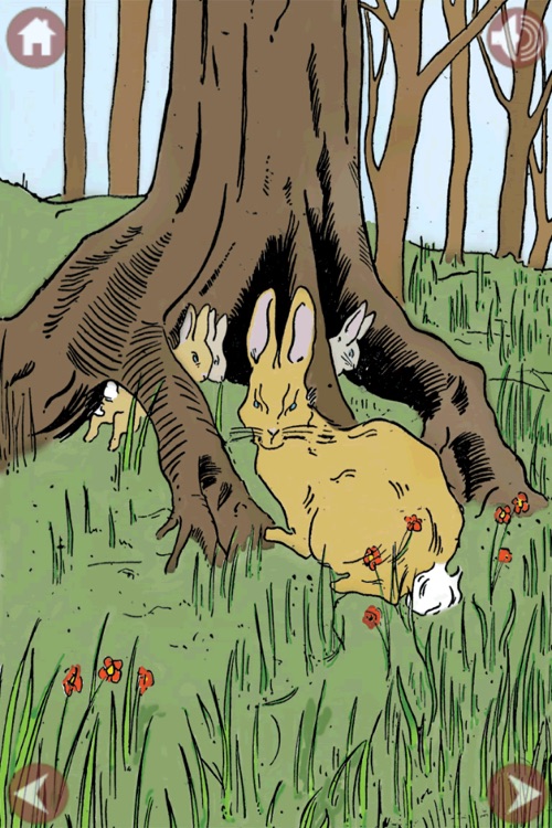 The Tale of Peter Rabbit with Puzzle Pictures screenshot-3