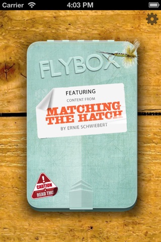 FlyBox screenshot 2