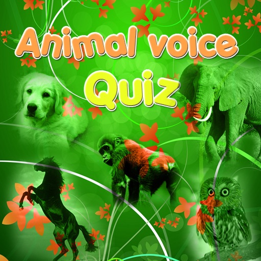 Animal Voice Quiz icon