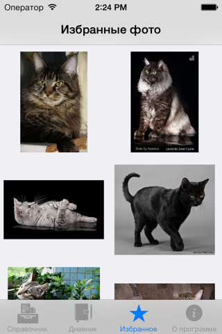 Справочник Кошки  Lite screenshot 2