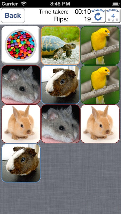 Doodle Pair Animals! Domestic&Pets - Photo Match Up Game Free Version (Picture Match)