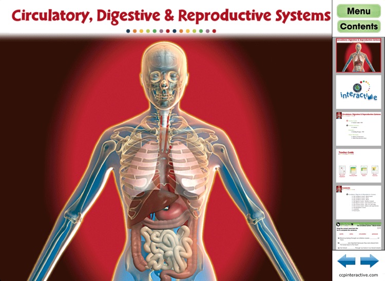 Circulatory, Digestive & Reproductive Systems - Free CH1