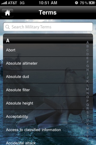 Military Terms 2 screenshot 2