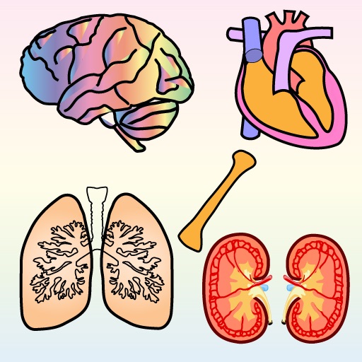 Body Organs 4 Kids - for iPhone and iPod Touch devices icon