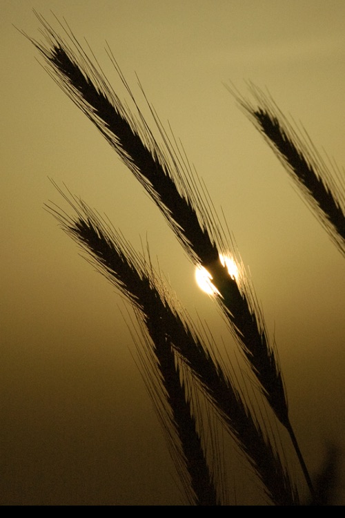 Beautiful Israel screenshot-3