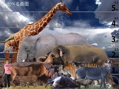 Animal Life Free for Japan screenshot 3