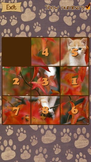 Kitten Slide Puzzles(圖2)-速報App