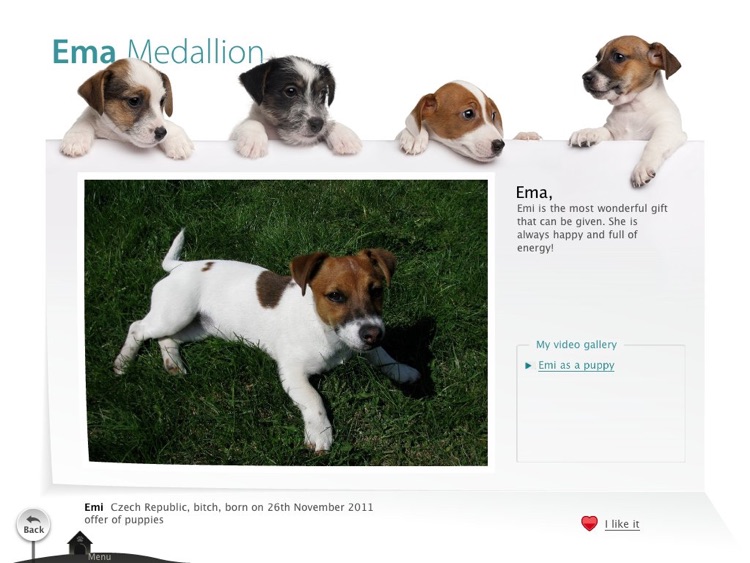 Befriending Dogs - Jack Russell terrier screenshot-3